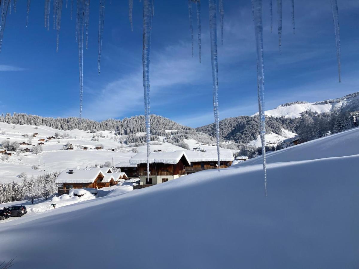 Chalets Savoie Les Chalets D'Heidi Notre-Dame-de-Bellecombe Bagian luar foto
