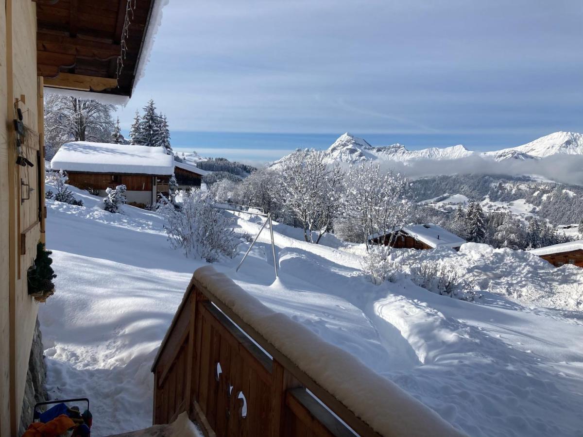 Chalets Savoie Les Chalets D'Heidi Notre-Dame-de-Bellecombe Bagian luar foto