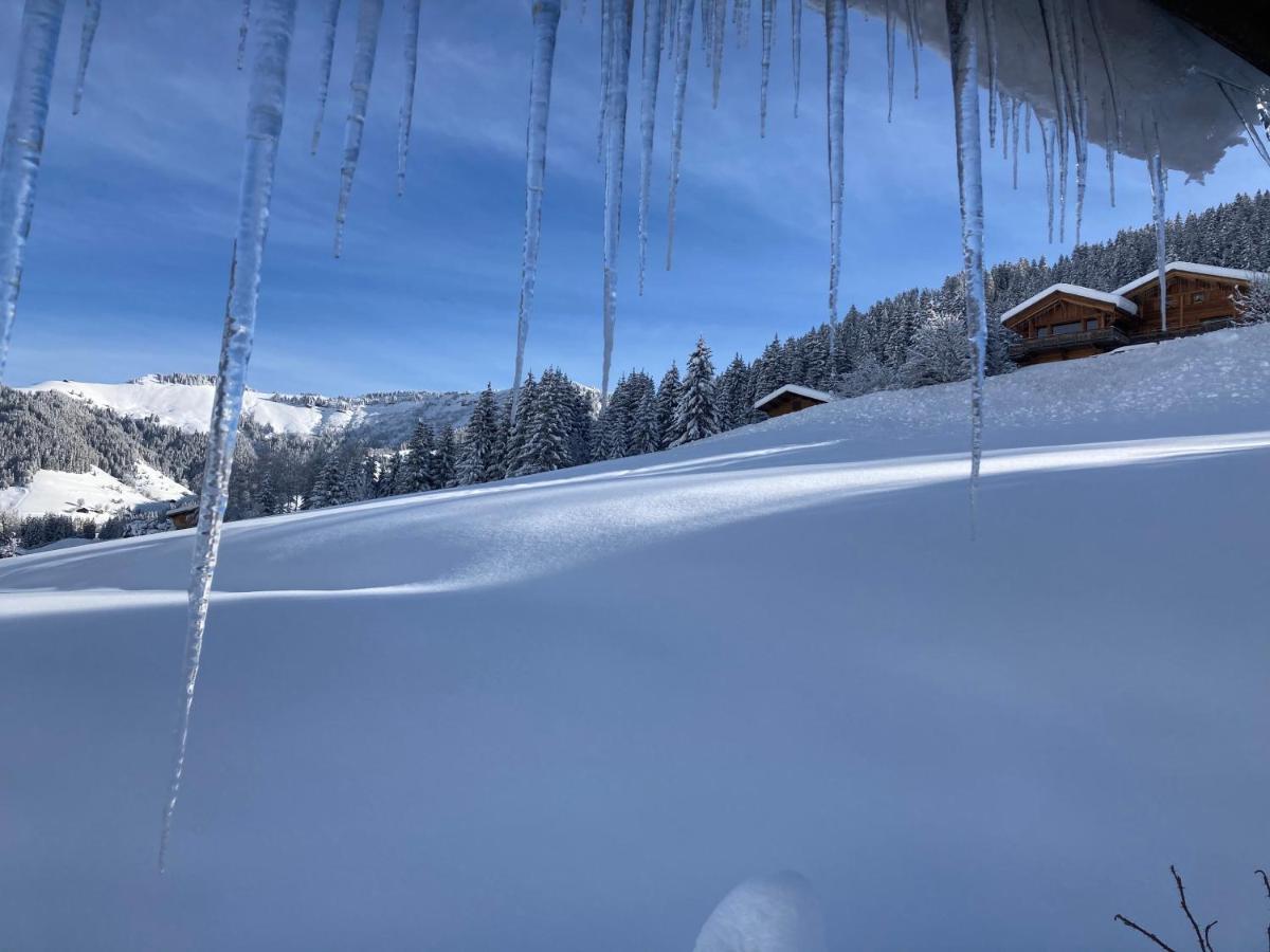 Chalets Savoie Les Chalets D'Heidi Notre-Dame-de-Bellecombe Bagian luar foto