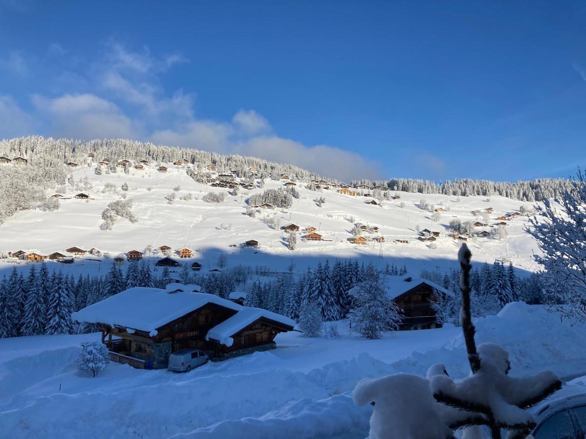 Chalets Savoie Les Chalets D'Heidi Notre-Dame-de-Bellecombe Bagian luar foto