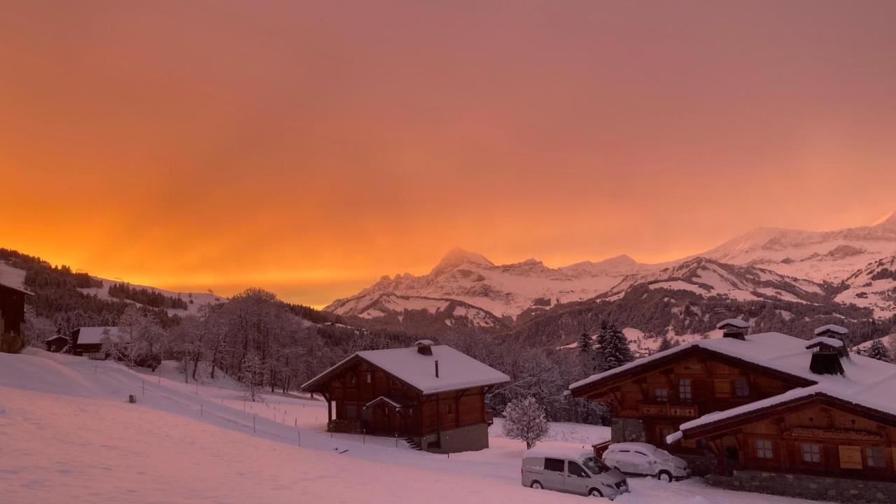 Chalets Savoie Les Chalets D'Heidi Notre-Dame-de-Bellecombe Bagian luar foto