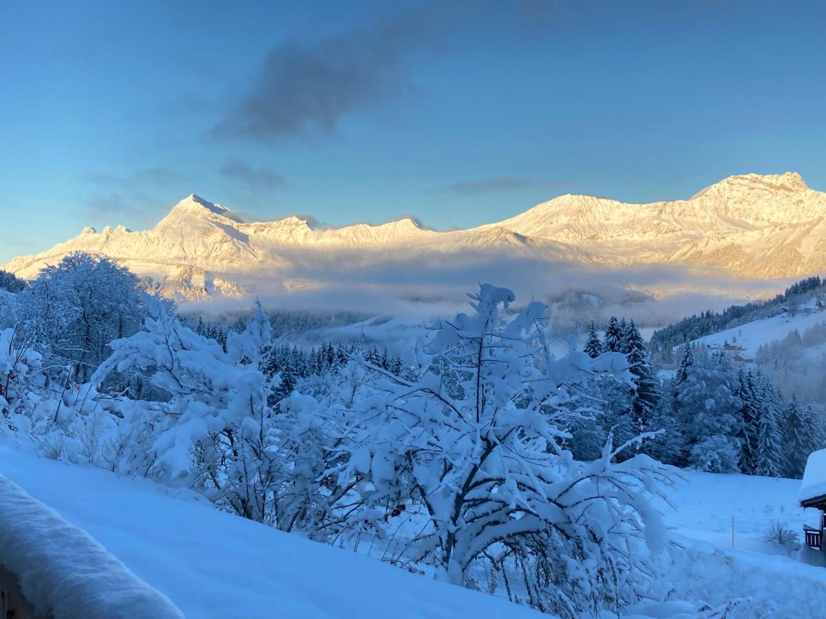 Chalets Savoie Les Chalets D'Heidi Notre-Dame-de-Bellecombe Bagian luar foto