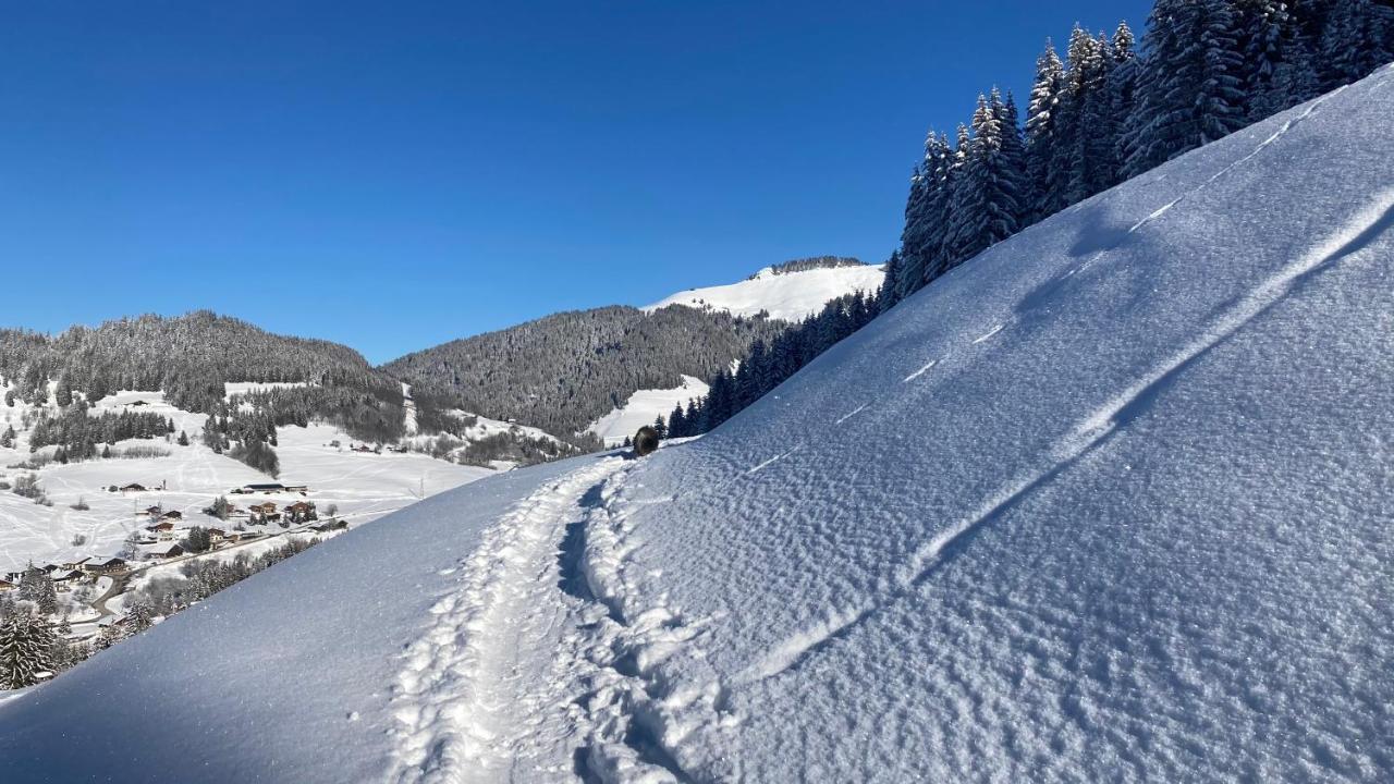 Chalets Savoie Les Chalets D'Heidi Notre-Dame-de-Bellecombe Bagian luar foto