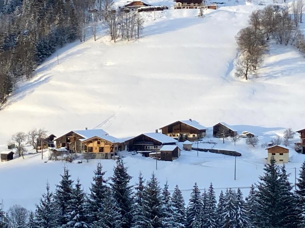 Chalets Savoie Les Chalets D'Heidi Notre-Dame-de-Bellecombe Bagian luar foto