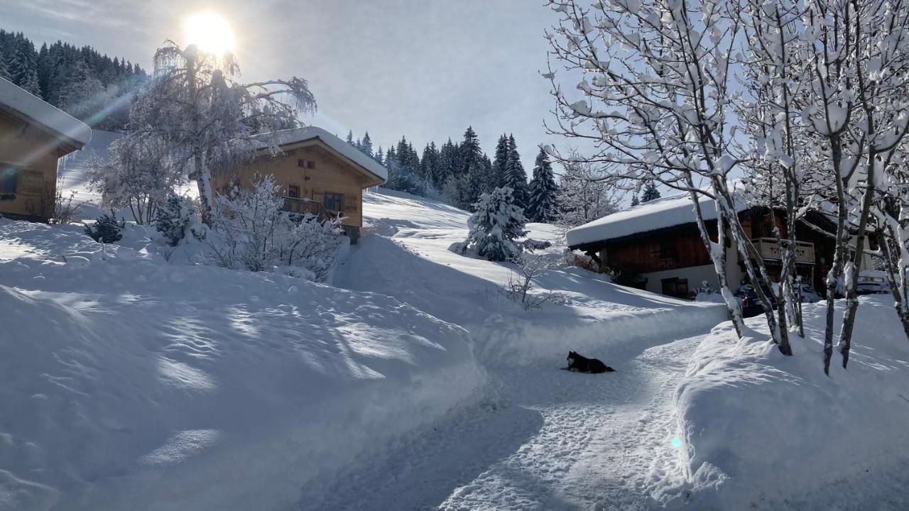 Chalets Savoie Les Chalets D'Heidi Notre-Dame-de-Bellecombe Bagian luar foto