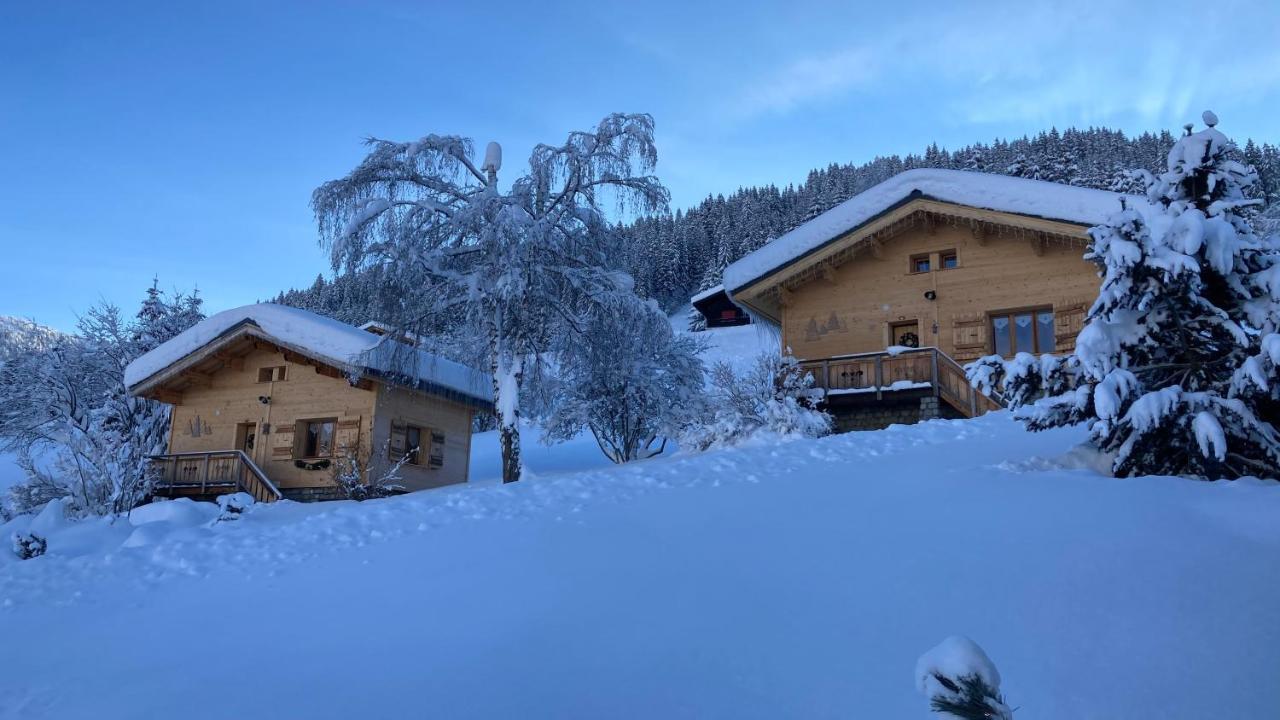 Chalets Savoie Les Chalets D'Heidi Notre-Dame-de-Bellecombe Bagian luar foto