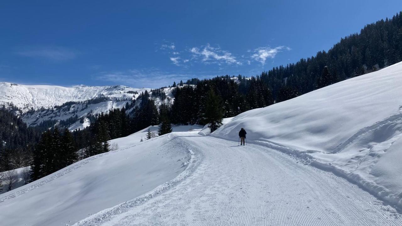 Chalets Savoie Les Chalets D'Heidi Notre-Dame-de-Bellecombe Bagian luar foto