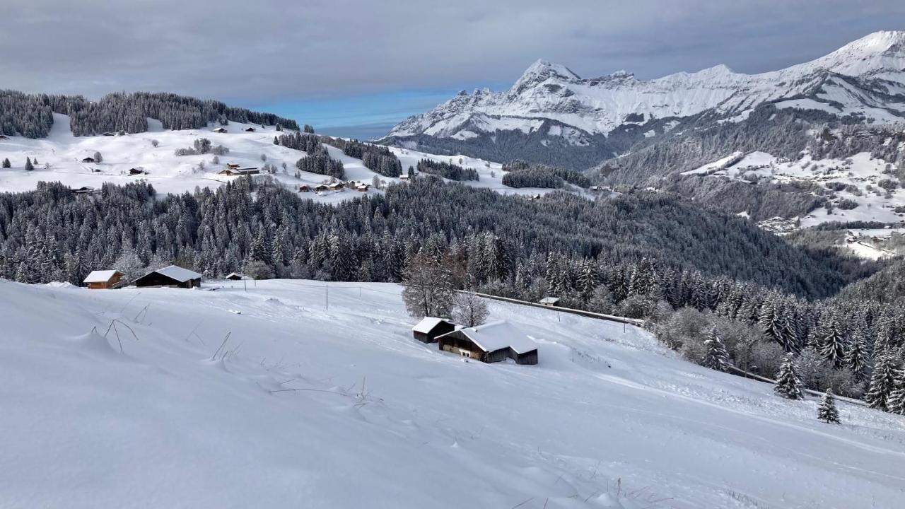 Chalets Savoie Les Chalets D'Heidi Notre-Dame-de-Bellecombe Bagian luar foto