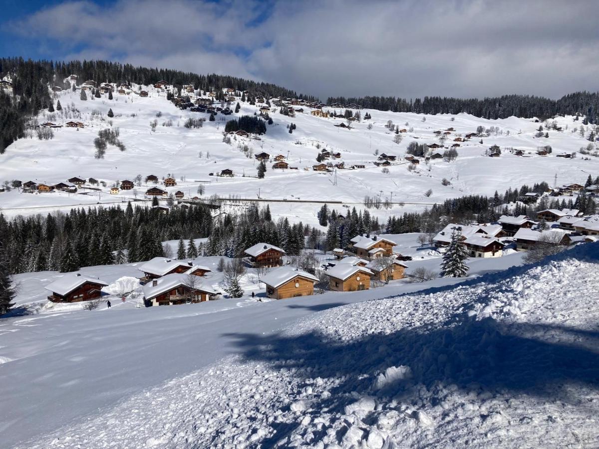 Chalets Savoie Les Chalets D'Heidi Notre-Dame-de-Bellecombe Bagian luar foto