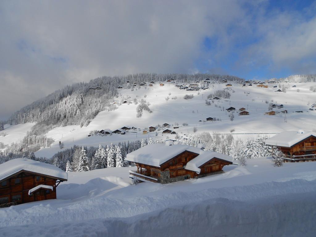 Chalets Savoie Les Chalets D'Heidi Notre-Dame-de-Bellecombe Bagian luar foto