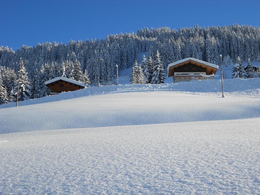 Chalets Savoie Les Chalets D'Heidi Notre-Dame-de-Bellecombe Bagian luar foto