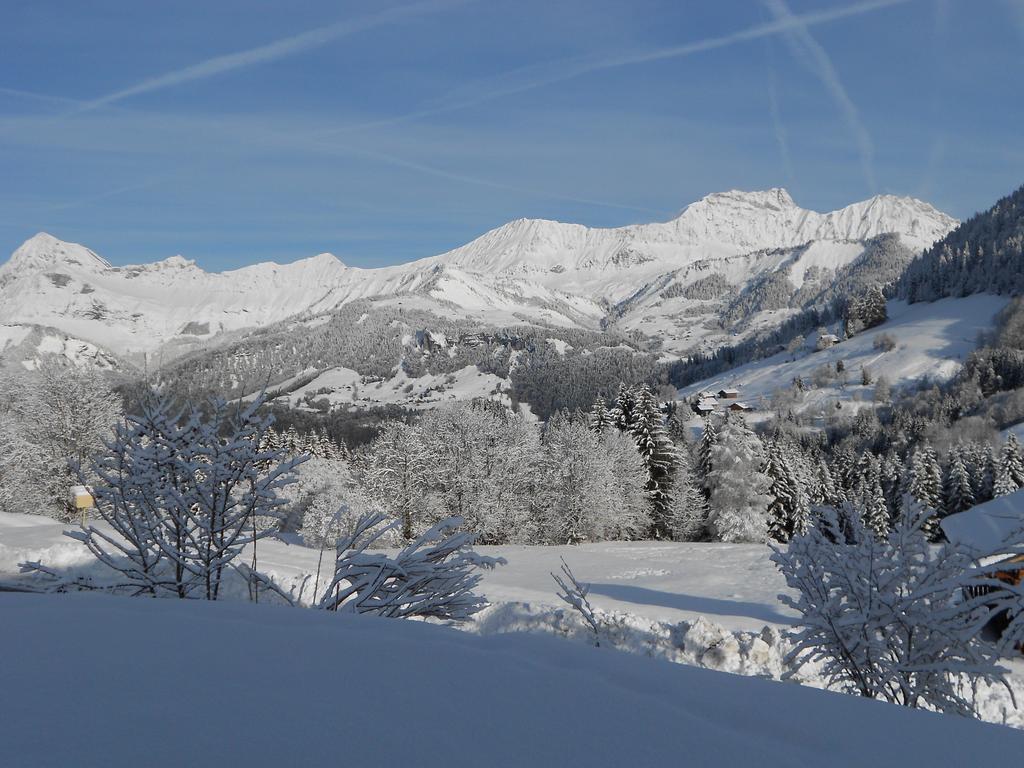 Chalets Savoie Les Chalets D'Heidi Notre-Dame-de-Bellecombe Bagian luar foto