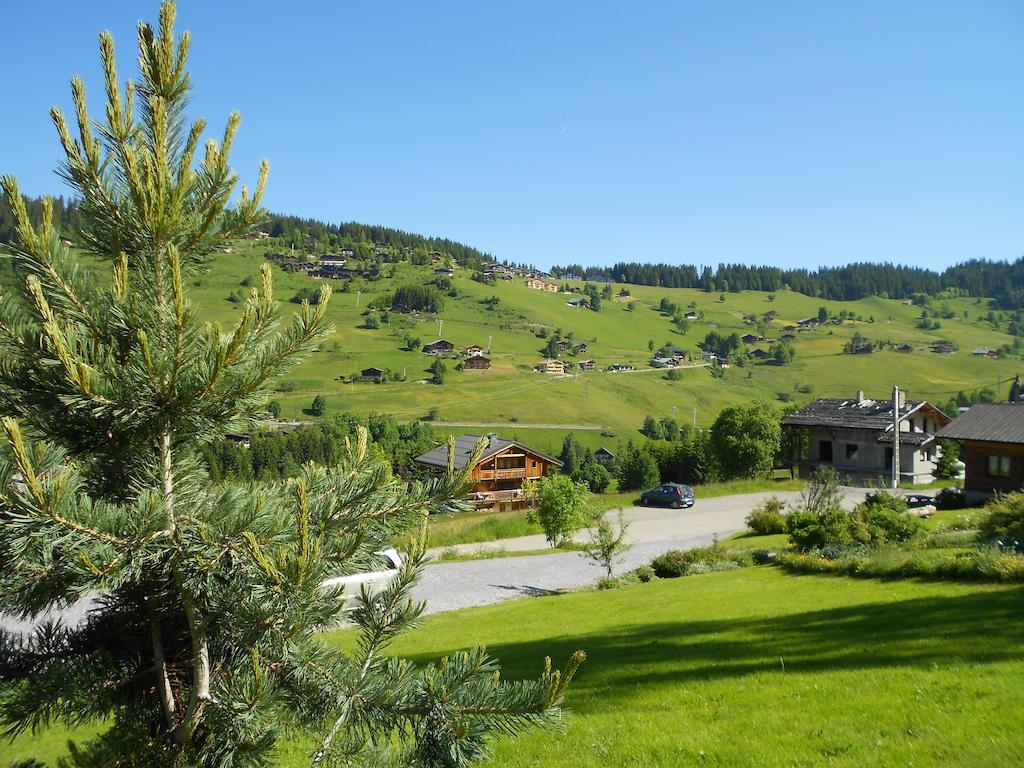 Chalets Savoie Les Chalets D'Heidi Notre-Dame-de-Bellecombe Bagian luar foto