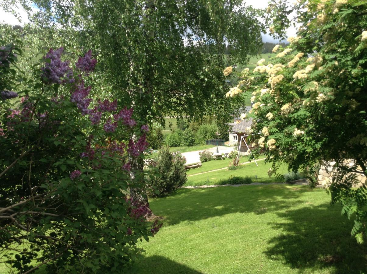 Chalets Savoie Les Chalets D'Heidi Notre-Dame-de-Bellecombe Bagian luar foto