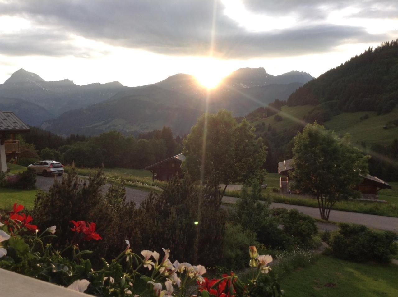 Chalets Savoie Les Chalets D'Heidi Notre-Dame-de-Bellecombe Bagian luar foto