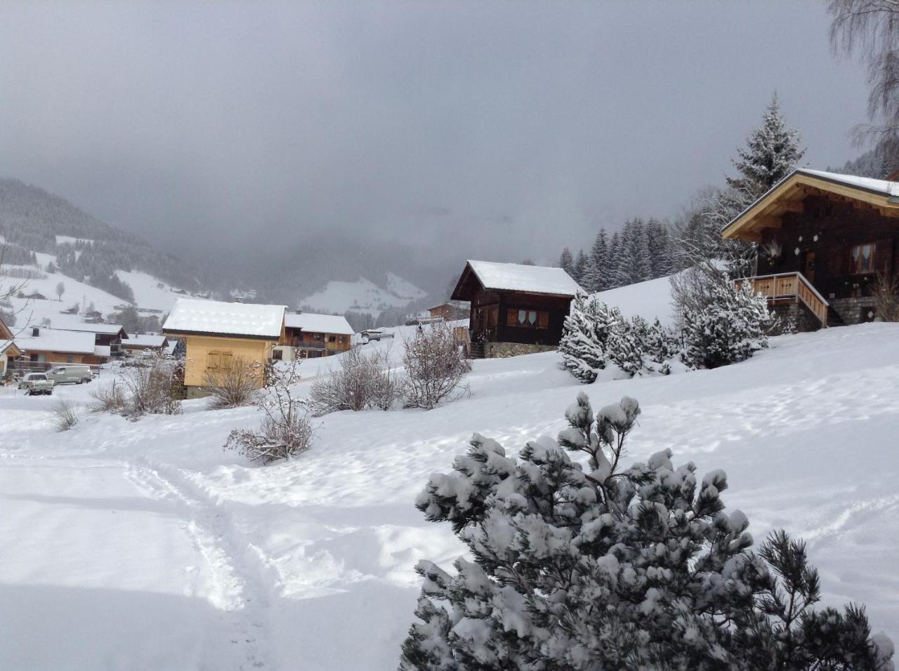 Chalets Savoie Les Chalets D'Heidi Notre-Dame-de-Bellecombe Bagian luar foto